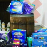 Promise Hill Project Period Product Charity