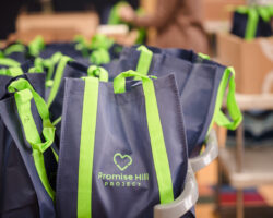 Promise-Hill-Project