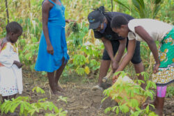 Teaching-how-to-do-a-kitchen-garden