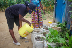 kitchen-garden-initiative(1)